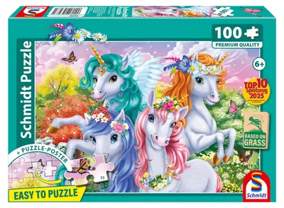 Image de Schmidt Spiele 56583, 100 pièces, Fée, 5 ans/ans