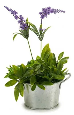 Produktbild von Arte r Pflanzentopf/Blumentopf teil- Zink - silber - D12 x H17 cm