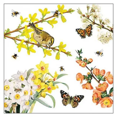 Produktbild von Ambiente Servet 25 Frühlingserwachen
