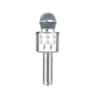 Produktbild von Karaoke Bluetooth-Mikrofon mit Lautsprecher
