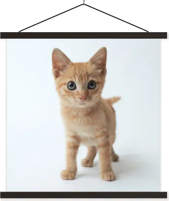 Produktbild von MuchoWow® Textilposter Katze - Rot - Kätzchen - Mädchen - Kinder - Jungen - Kind 120x120 cm mit schwarzem Rahmen - Aufhängungsset