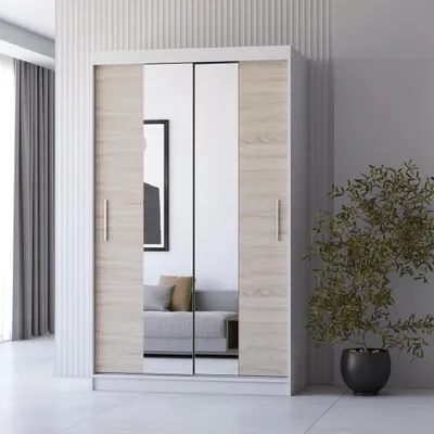 A modern sliding door wardrobe with mirrored panels, set against a neutral background with subtle wall paneling and a potted plant.