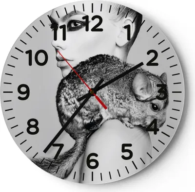 Produktbild von Wanduhr - Rund - Glasuhr - Chinchilla Frau Porträt - 40x40cm - Schleichendes Uhrwerk - Lautlos - zum Aufhängen bereit - Dekoration Modern - Wanddekoration aus Glas - C4AR40x40-4278