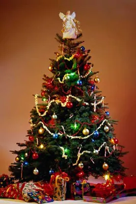 Produktbild von Weihnachten - Poster - Weihnachtsbaum