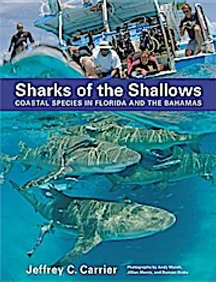 Produktbild von Sharks of the Shallows