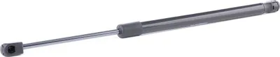 Produktbild von RIDEX 219G0890 Gasfeder Heckklappendämpfer für SUZUKI SWIFT III (MZ, EZ) 439,5mm