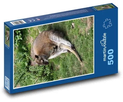 Produktbild von martinpuzzle - Puzzle 500 Teile - Ruhekänguru