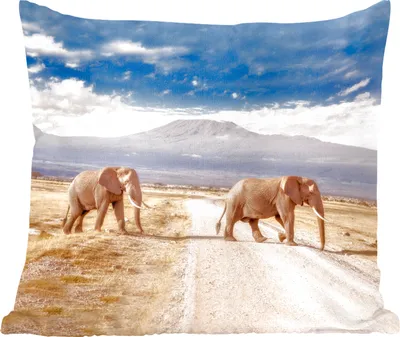 Produktbild von MuchoWow® Zierkissen Sofakissen Wohnzimmer Dekokissen 60x60 cm Elefant - Wolke - Safari - Sitzfläche - Foto Polster