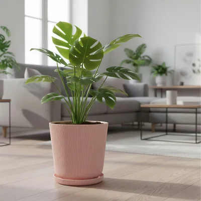 Image de Pots de fleurs avec soucoupes, lot de 2, intérieur/extérieur