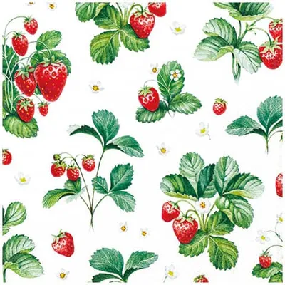 Image de Home Fashion® 212137 Serviettes repas & boissons - 33 x 33 cm, 20 pièces
