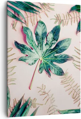 Produktbild von Bild auf Leinwand - Leinwandbild - Einteilig - Blatt Tropisch Palme - 50x70cm - Wand Bild - Wanddeko - Wandbilder - Leinwanddruck - Wanddekoration - Leinwand bilder - Wandbild - PA50x70-4314