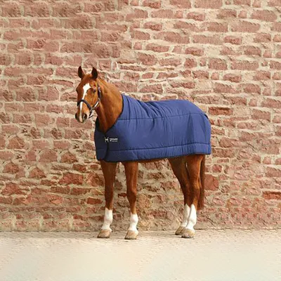 Produktbild von Horseware Underblanket 300g - navy, 115