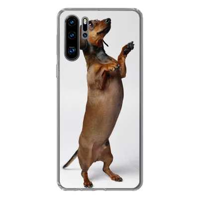 Produktbild von MuchoWow® Handyhülle Schutzhülle Hülle für Huawei P30 Pro Ein Dackel, der auf seinen beiden Hinterbeinen steht Silikon Softcase Handy Hülle - Schutzdeckel