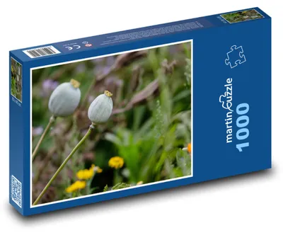 Produktbild von Puzzle 1000 Mohnköpfe auf der Wiese - martinpuzzle