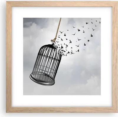 Produktbild von Gerahmtes Poster - Rahmen in heller Eiche - Freiheit Käfig Vögel - 30x30 cm - Wand Bild - Wanddeko - Wandbilder - Kunstposter - Wandposter - Bilderrahmen - Bilder - Kunstdruck - P2NAC30x30-4997