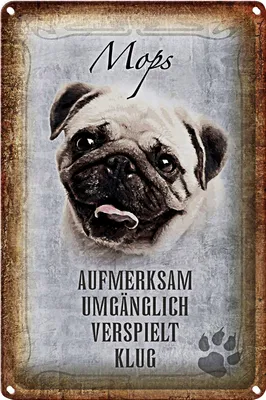 Produktbild von Blechschild Spruch 12x18cm Mops Hund