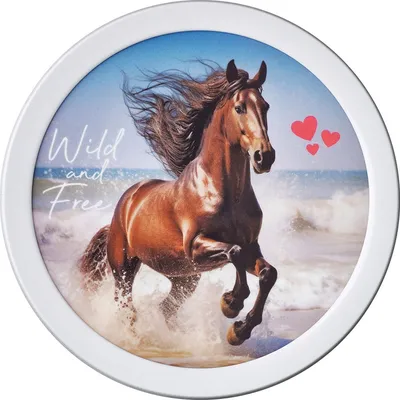 Zdjęcie produktu dla Mepal fruchtbox campus 300 ml - wild horse Ø67 x 104 107430065401