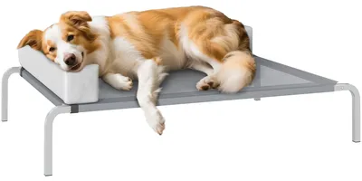 Produktbild von PawHut Hundeliege Outdoor, Erhöhtes Hundebett für Mittelgroße Hunde Hellgrau