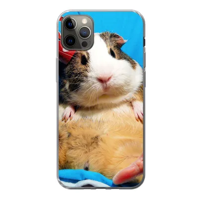 Produktbild von MuchoWow® Handyhülle Schutzhülle Hülle für iPhone 13 Pro Max Meerschweinchen - Lustig - Krone - Kinder - Jungen - Mädchen - Kind Silikon Softcase Handy Hülle - Mobiltelefon