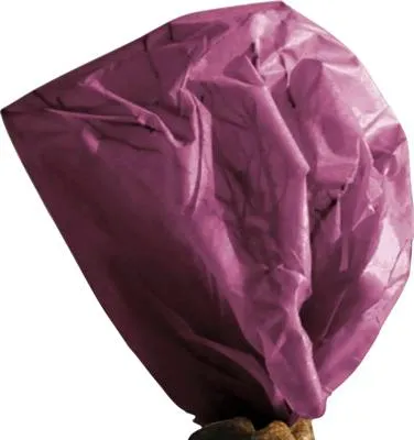Produktbild von Winterschutz videx Winterschutzvlies 50 x 150 cm rot, 34 g/m²