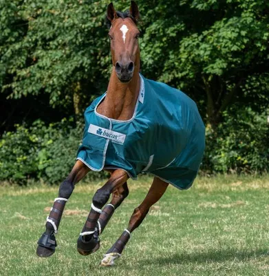 Image de Bucas Outdoordecke 200g Atlantic Turnout Weidedecke Green 85