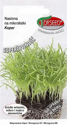Produktbild von Mikroblättriger Dill 3g - Torseed