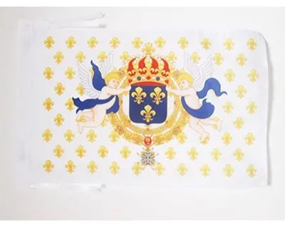 Flagge König von Frankreich Fleur-de-lis 45x30 cm
