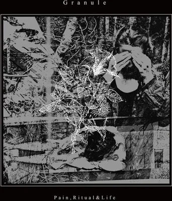 Produktbild von Granulat - Schmerz