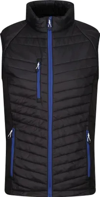 Produktbild von Regatta Professional - Weste Hybrid für Herren RG9422 (XL) (Schwarz/Königsblau)