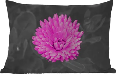 Produktbild von MuchoWow® Outdoor Kissen - Blumen - Aquarell - Rosa - 50x30 cm - Wetterfest - Lounge Kissen - Sofa kissen - Wohnzimmer Dekoration