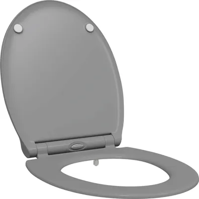Immagine prodotto di Sedile del WC Grigio 47 x 37,5 x 3,8 cm Duroplast