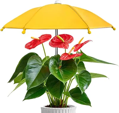 Produktbild von Mini Pflanzenschirm Metall, 27×35cm, UV-Schutz, winddicht, Erdspieß – Sonnenschutz für Pflanzen drinnen & draußen