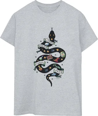 Produktbild von Harry Potter - "Slytherin" T-Shirt für Damen BI28032 (XL) (Grau)