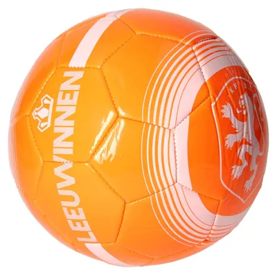 Image de Football KNVB Orange Lionesses