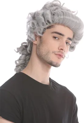 Produktbild von WIG ME UP Perücke Grau Barock Renaissance Edelmann 91019-ZA68E