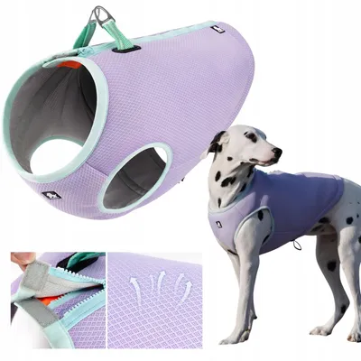 Produktbild von Truelove Kühlweste für Hunde, Leicht, Lila, Größe XXL