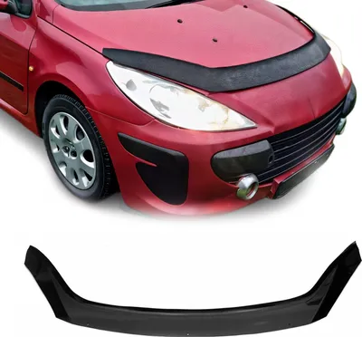 Obrázek produktu pro Deflektor kapoty proti hmyzu pro Peugeot 307 2005-2008 tmavý