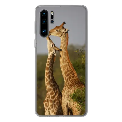 Produktbild von MuchoWow® Handyhülle Schutzhülle Hülle für Huawei P30 Pro Giraffe - Baum - Kalb - Porträt Silikon Softcase Handy Hülle - Schutzdeckel