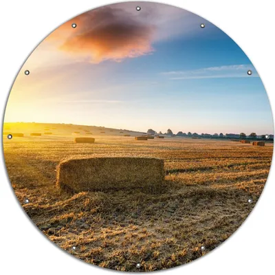 Produktbild von Wallario rundes Outdoor-Poster für Garten oder Balkon, Motiv Stroh auf dem Feld bei untergehender Sonne, 120 cm Durchmesser