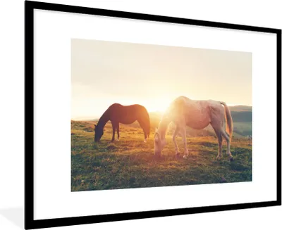 Produktbild von MuchoWow® Gerahmtes Poster Pferde - Sonne - Tiere 90x60 cm - Poster mit Schwarzem Bilderrahmen Wandposter Rahmen Foto Bilder - Wanddekoration - Fotos