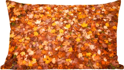 Produktbild von MuchoWow® Zierkissen Sofakissen Wohnzimmer Dekokissen 50x30 cm Blätter - Herbst - Jahreszeiten - Wohnzimmerdekoration - Polster mit Photo