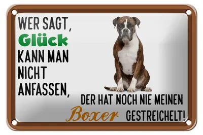 Produktbild von Blechschild Spruch 18x12cm Glück nicht anfassen Boxer Hund