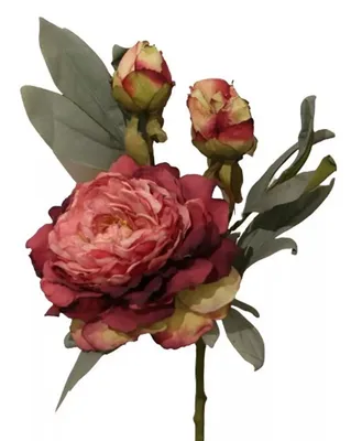 Produktbild von Pfingstrose mit 1 Blüte 2 Knospen L62cm Kunstblumen künstliche Päonie dunkelrot