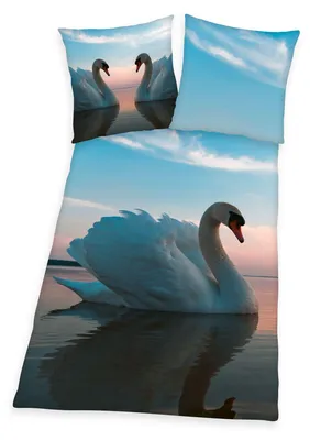 Obrázek produktu pro Sada ložního prádla 2 ks s labutí 135 x 200 cm 100% bavlna