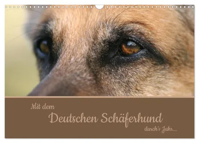 Produktbild von Mit dem Deutschen Schäferhund durch's Jahr (Wandkalender 2027 DIN A3 quer), CALVENDO Monatskalender