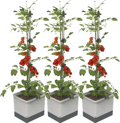 Produktbild von Gusta Garden TOM TOMATO 3er-Set, hellgrau