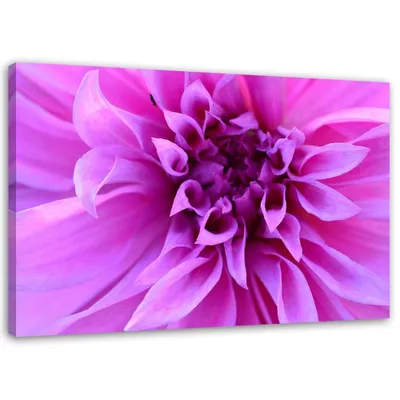 Produktbild von Leinwandbild lila blume 120x80 cm Feeby rosa wandbild bereit zum aufhängen