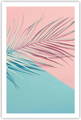 Produktbild von Poster - Poster ohne Rahmen - Blatt Rosa Türkis - 61x91,5 cm - Wand Bild - Wanddeko - Wandbilder - Kunstposter - Wandposter - Bilder - Kunstdruck - Wanddekoration - Wandbild - P2XPA61x91-4421