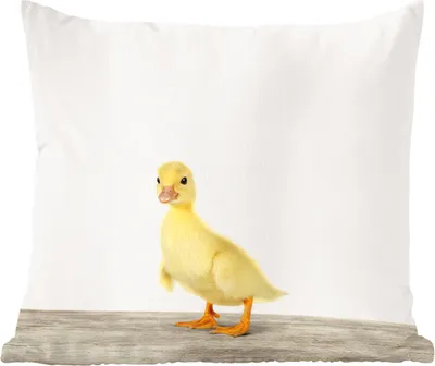 Produktbild von MuchoWow® Zierkissen Sofakissen Wohnzimmer Dekokissen 50x50 cm Tiere - Gelb - Ente - Komfort - Sofakissen