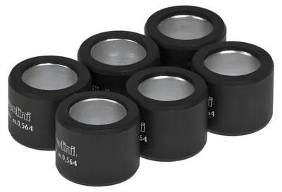 Obrázok produktu pre Sada závaží pre variátor Polini, 6 valčekov, rozmer 23 x 18 mm, hmotnosť 17,0 g